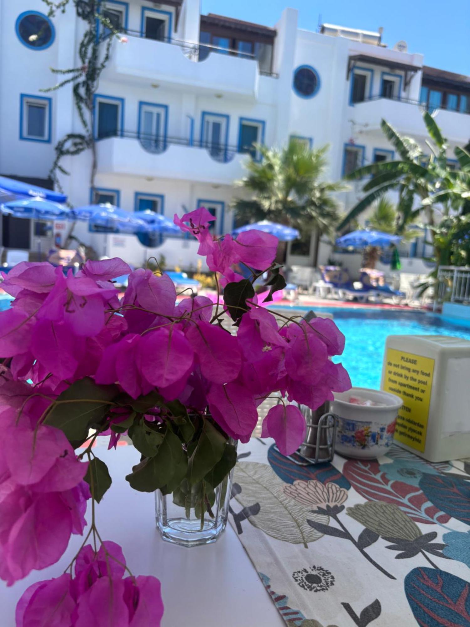 בודרום Palmiye Apart Otel מראה חיצוני תמונה